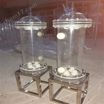 Sepure Plus100*50有机玻璃交换柱